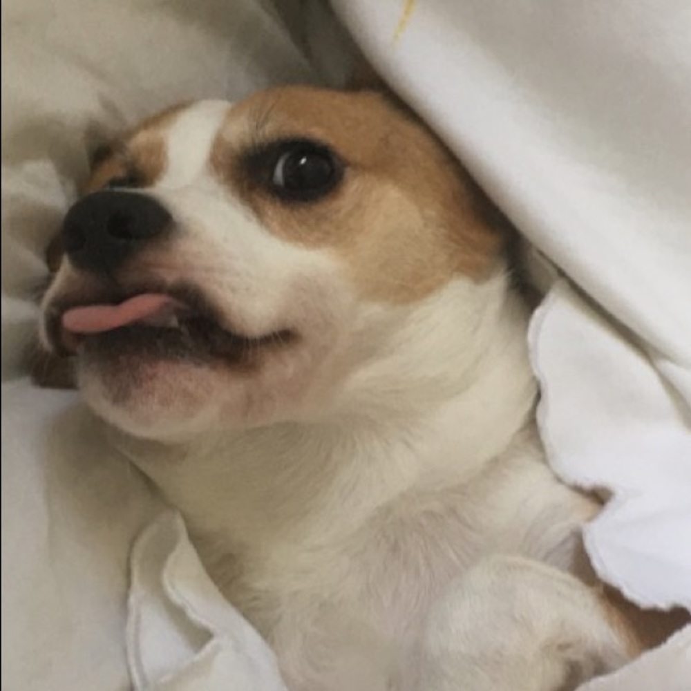 Meet your Posher, Fran